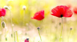 Timeline: It's just the beginning....