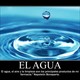Agua