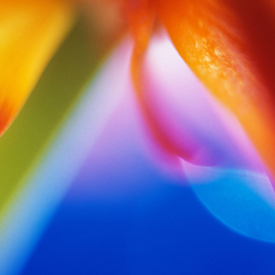 Timeline: Cronograma del 5ª Semestre