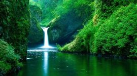 Timeline: mi bibliografias