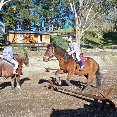 Timeline: Maddy's timeline :)