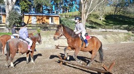 Timeline: Maddy's timeline :)