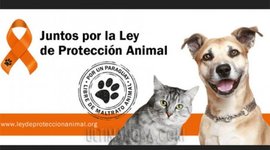 Timeline: Legislación para la Protección Animal