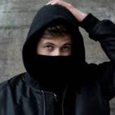 Timeline: Alan Walker