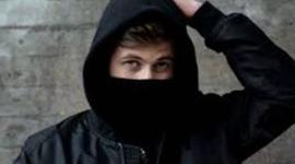 Timeline: Alan Walker