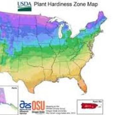 Timeline: Growth of America