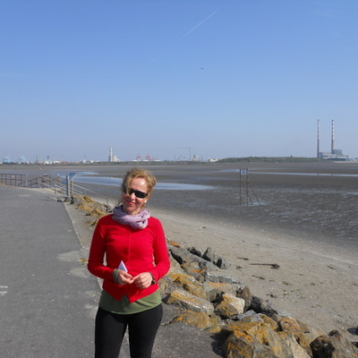 Timeline: Moments of teacher training