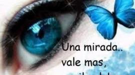 Timeline: línea del tiempo Constitución