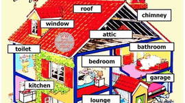 Timeline: Línea de Tiempo