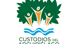 Timeline: Red de Custodios