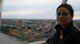 Timeline: Despina Darcy