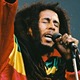 Bob marley