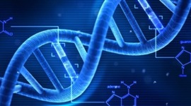 Timeline: History of Biology in a Gist