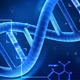 Dna biology1