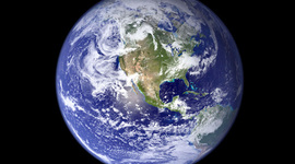 Timeline: Élő környezet