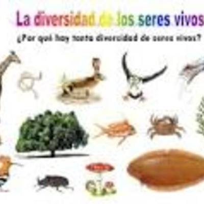 Timeline: Los Seres Vivos