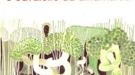 Timeline: Cavaleiro Da Dinamarca