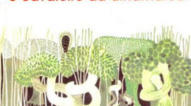 Timeline: O Cavaleiro da Dinamarca