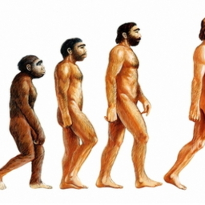 Timeline: Las edades de la historia