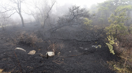 Timeline: Sam's Point Preserve Fire Timeline