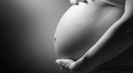 Timeline: Pregnancy Timeline