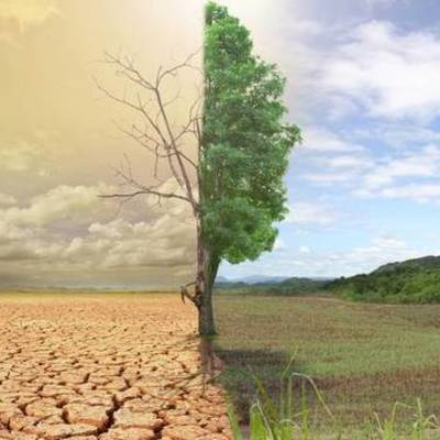 Timeline: Ερημοποίηση