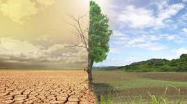 Timeline: Ερημοποίηση