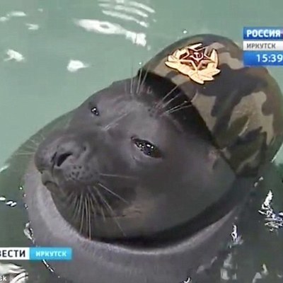 Timeline: Chapter 4 Section 1