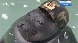 Timeline: Chapter 4 Section 1