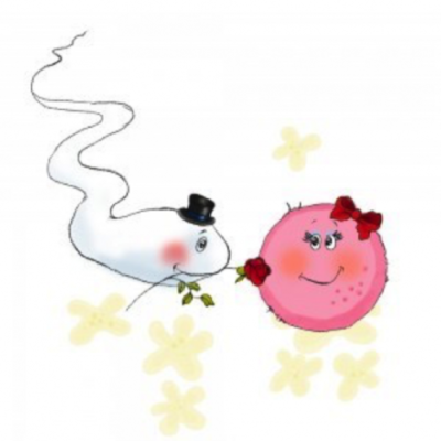 Timeline: Contraception