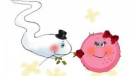 Timeline: Contraception