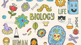 Timeline: Redemption assignment