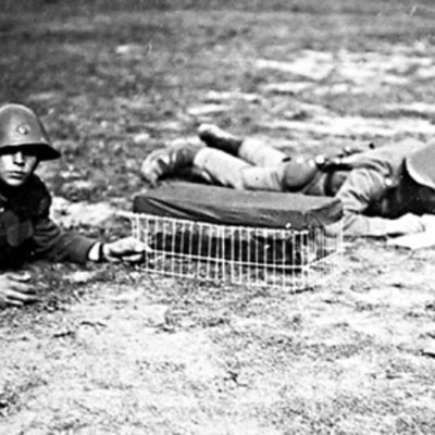 Timeline: Mellemkrigstiden