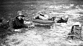 Timeline: Mellemkrigstiden