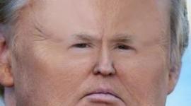 Timeline: Donald Trump