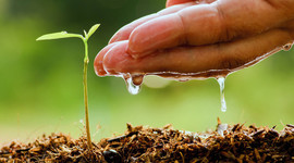 Timeline: agriculture