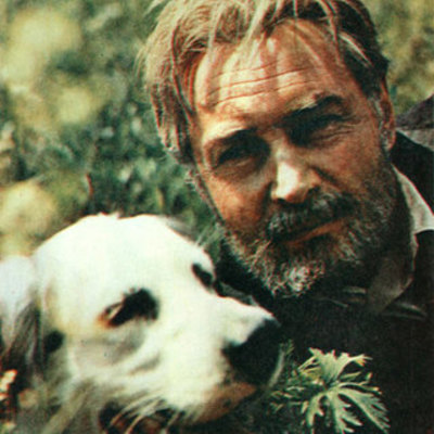 Timeline: Белый Бим Чёрное ухо