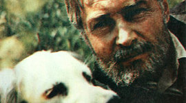 Timeline: Белый Бим Чёрное ухо