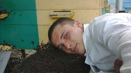 Timeline: Історія розвитку бджільництва.