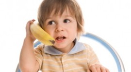 Timeline: Toddler Timeline