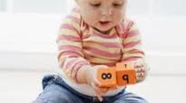 Timeline: Toddler Development