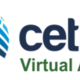 Logovirtual