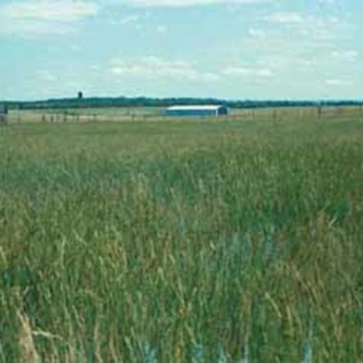 Timeline: Agricultural