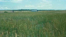 Timeline: Agricultural