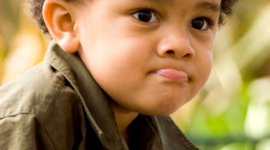 Timeline: Toddler Timeline