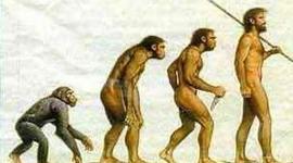 Timeline: Evolución Homínida