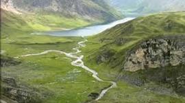 Timeline: CIRILA DAVILA HUACHO