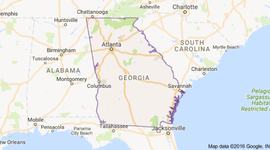 Timeline: Georgia Growth Timeline