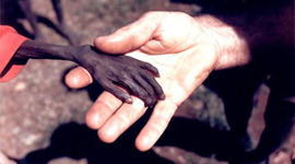 Timeline: brutales tragedias