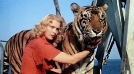 Timeline: "Полосатый рейс"